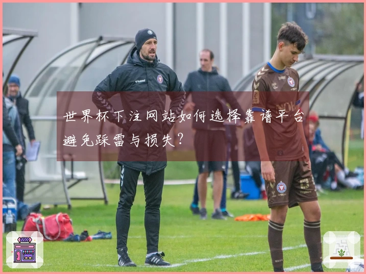 世界杯下注网站如何选择靠谱平台避免踩雷与损失？