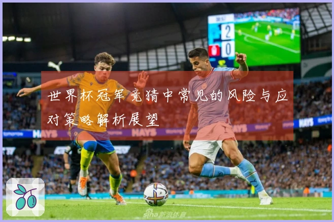 世界杯冠军竞猜中常见的风险与应对策略解析展望
