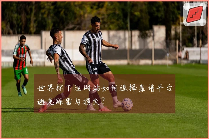 世界杯下注网站如何选择靠谱平台避免踩雷与损失？